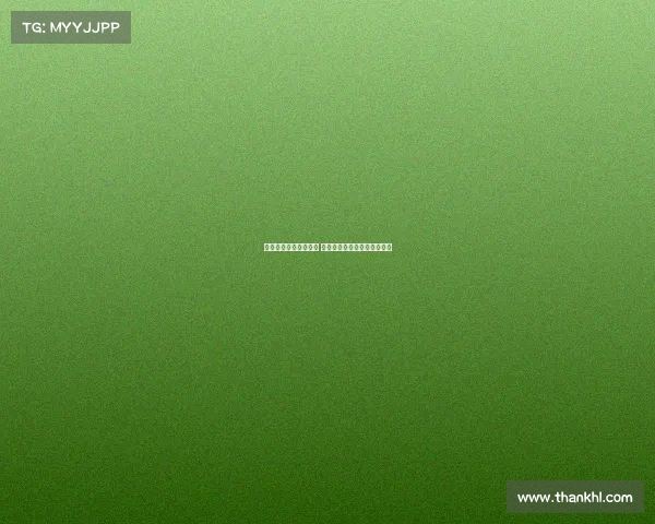 西甲精彩直播全程呈现 球迷必看赛事分析与实时更新